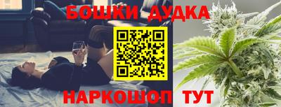 крисы Краснодар