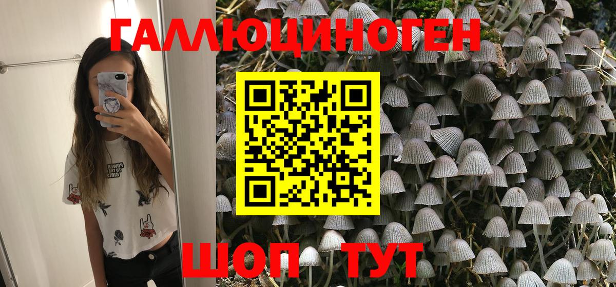 Качканар  Галлюциногенные грибы Psilocybe  Вход с VPN 