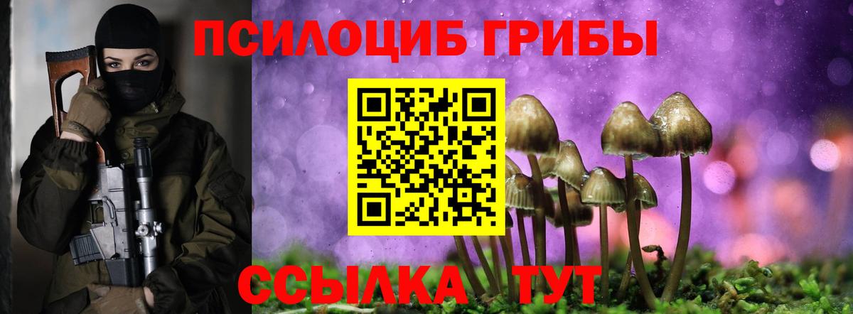 Галлюциногенные грибы мицелий Качканар